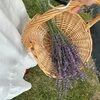 sproutedthreads